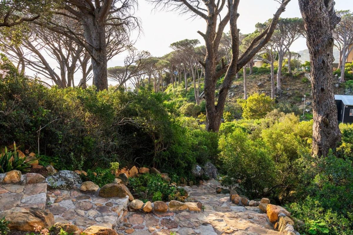 Lush Family Home In Prestigious Area Cape Town Bagian luar foto
